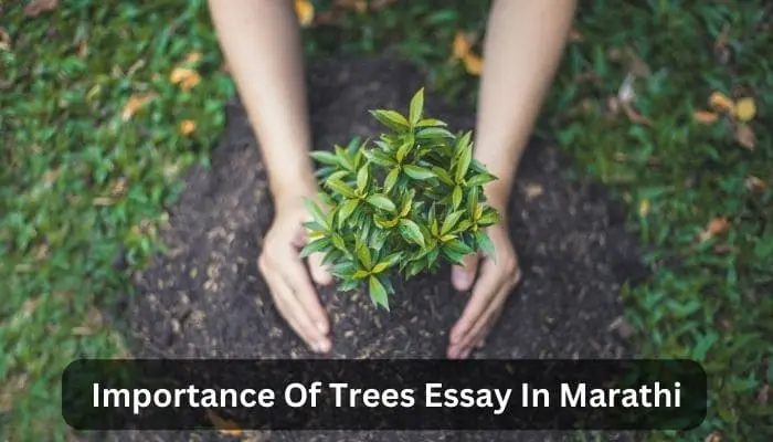 Importance Of Trees Essay In Marathi