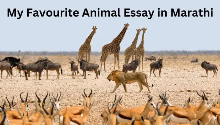 My Favourite Animal Essay in Marathi